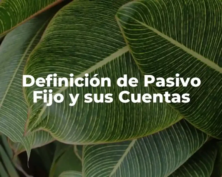Definición de Pasivo Fijo y sus Cuentas