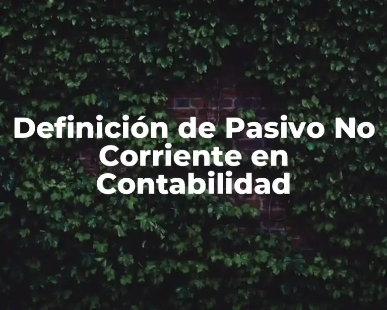 Definición de Pasivo No Corriente en Contabilidad