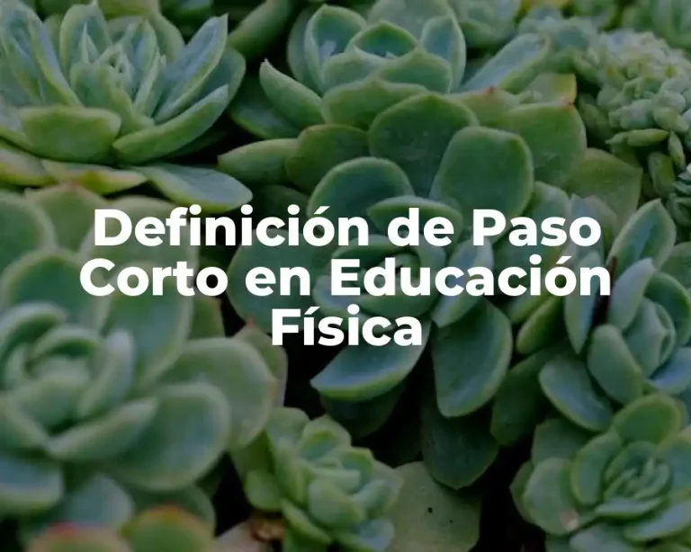 Definición de Paso Corto en Educación Física