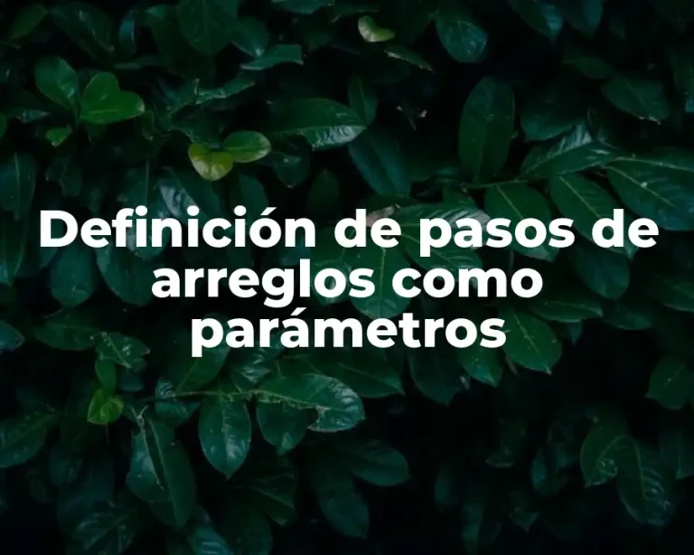 Definición de pasos de arreglos como parámetros