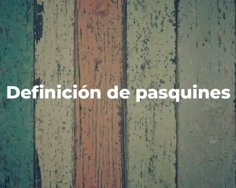 Definición de pasquines