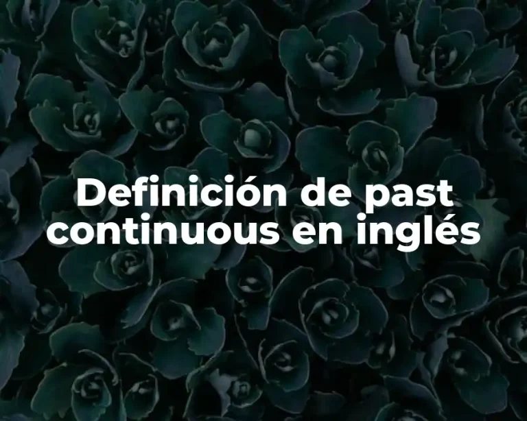 Definición de past continuous en inglés