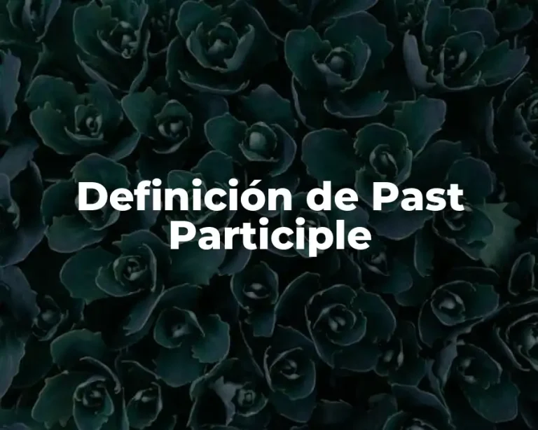 Definición de Past Participle