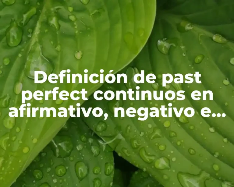 Definición de past perfect continuos en afirmativo, negativo e interrogativo