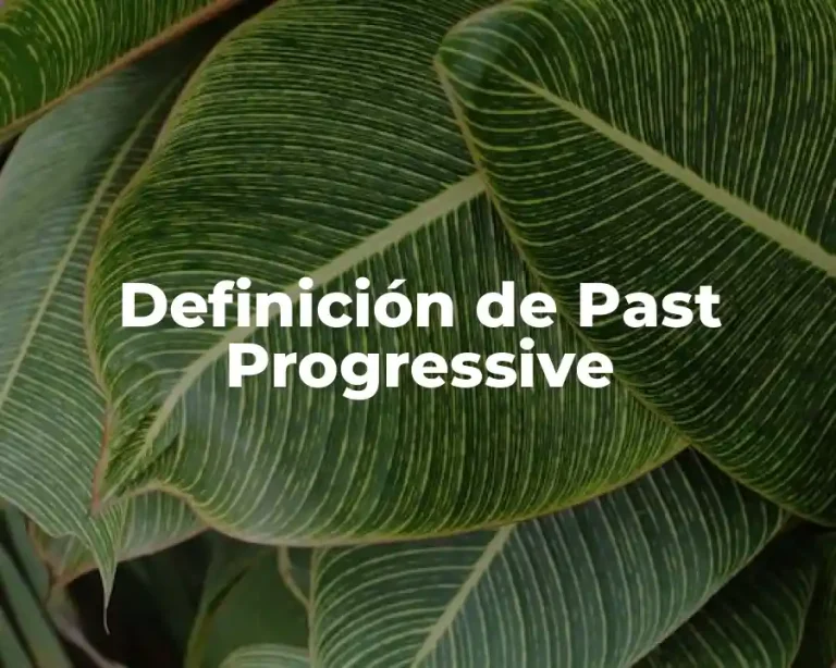 Definición de Past Progressive