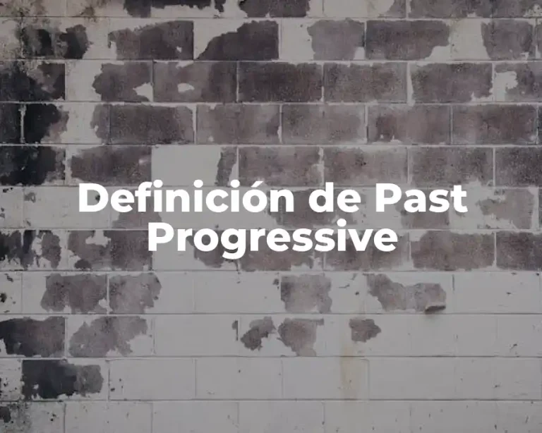 Definición de Past Progressive