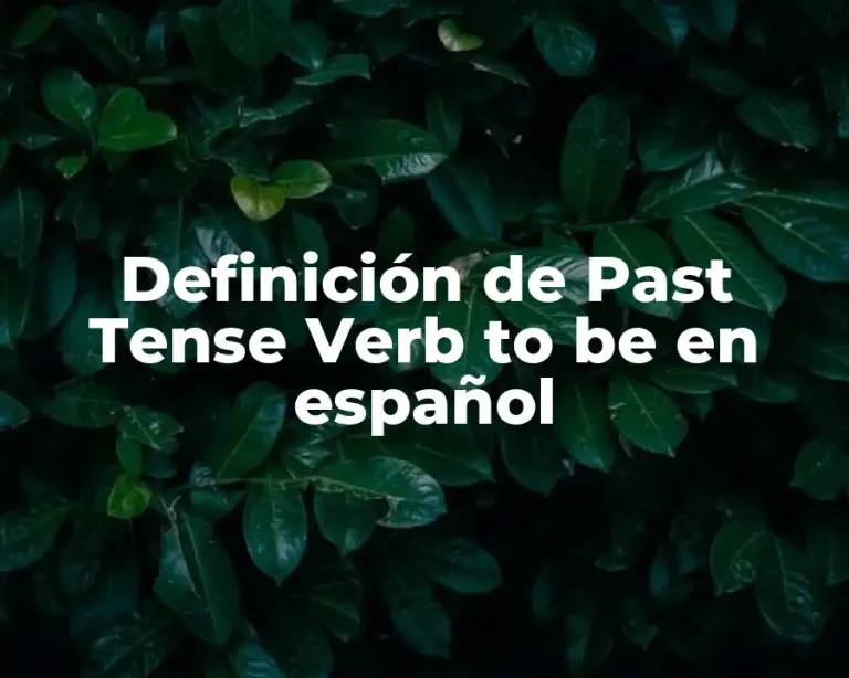 Definición de Past Tense Verb to be en español