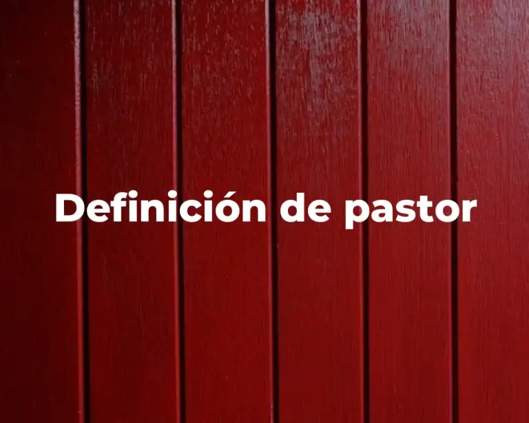 Definición de pastor
