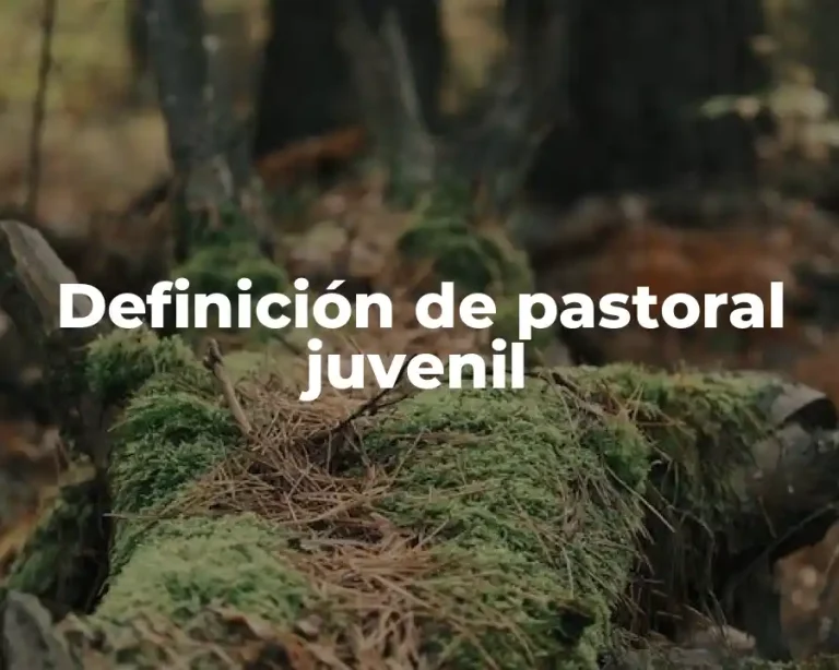 Definición de pastoral juvenil