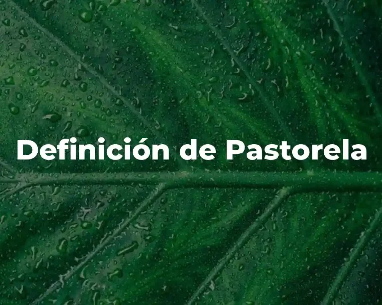Definición de Pastorela