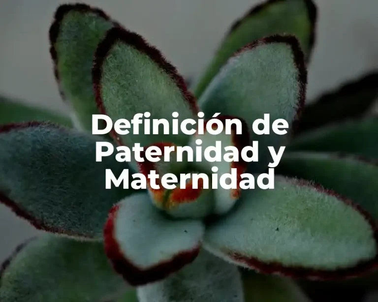 Definición de Paternidad y Maternidad