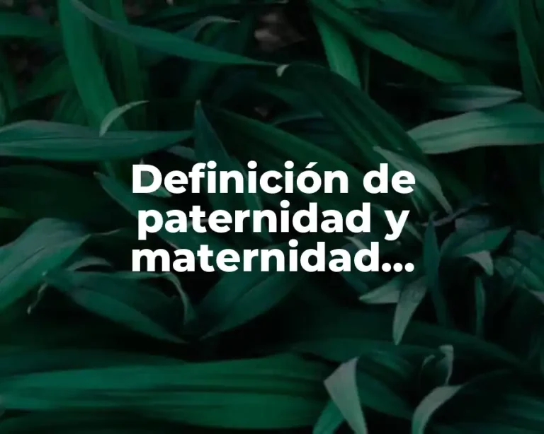 Definición de paternidad y maternidad responsable