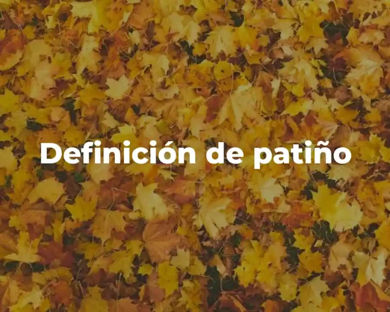 Definición de patiño