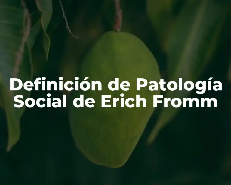 Definición de Patología Social de Erich Fromm