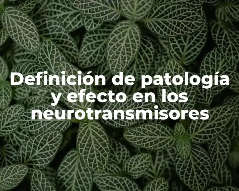 Definición de patología y efecto en los neurotransmisores