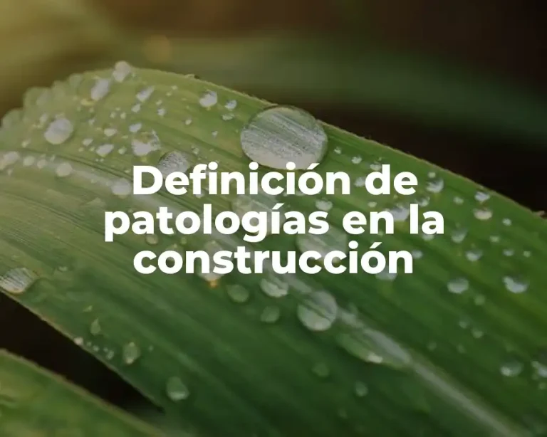 Definición de patologías en la construcción