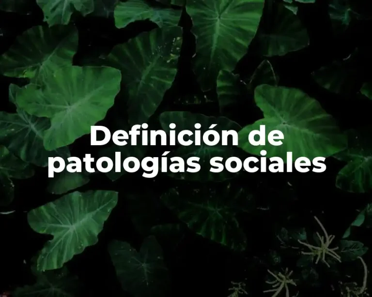 Definición de patologías sociales