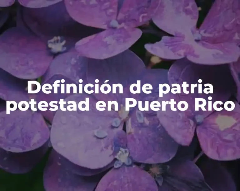Definición de patria potestad en Puerto Rico