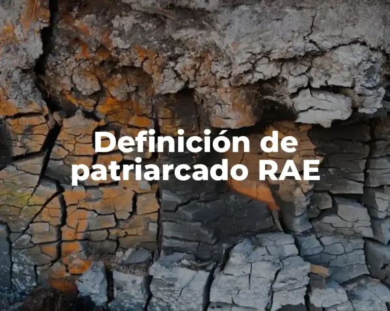 Definición de patriarcado RAE