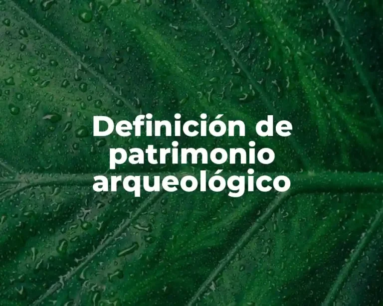 Definición de patrimonio arqueológico