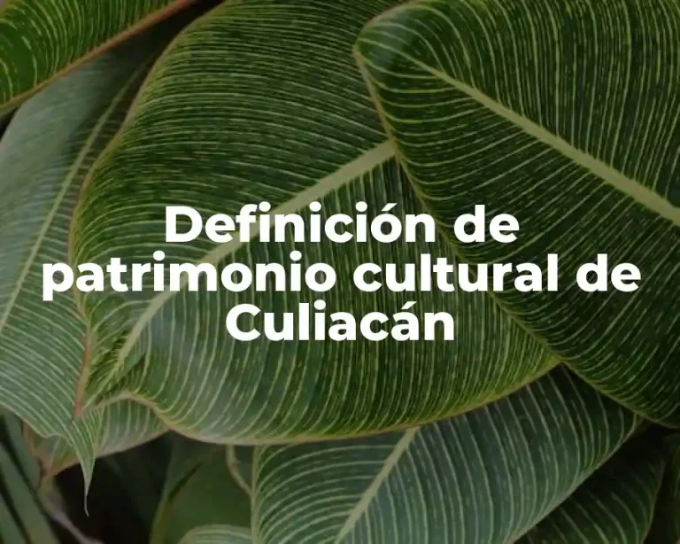 Definición de patrimonio cultural de Culiacán