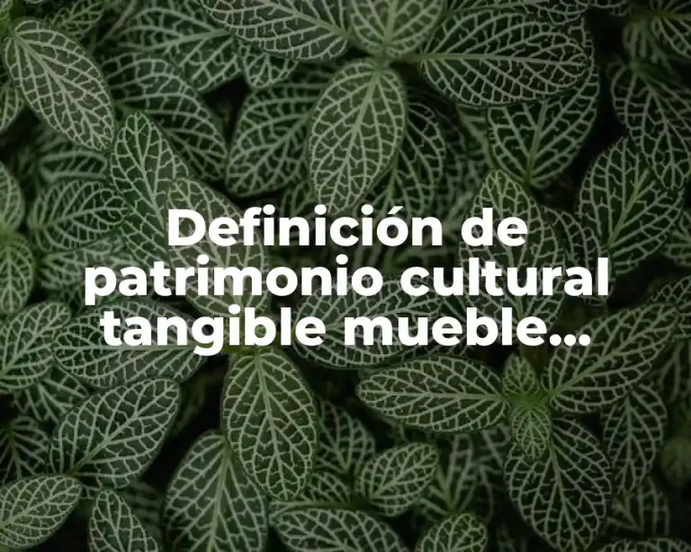 Definición de patrimonio cultural tangible mueble UNESCO