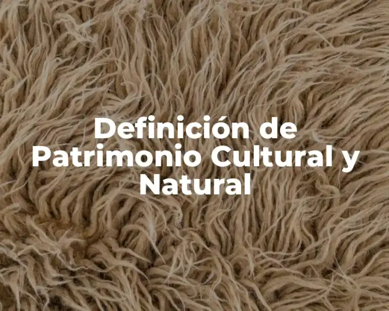 Definición de Patrimonio Cultural y Natural