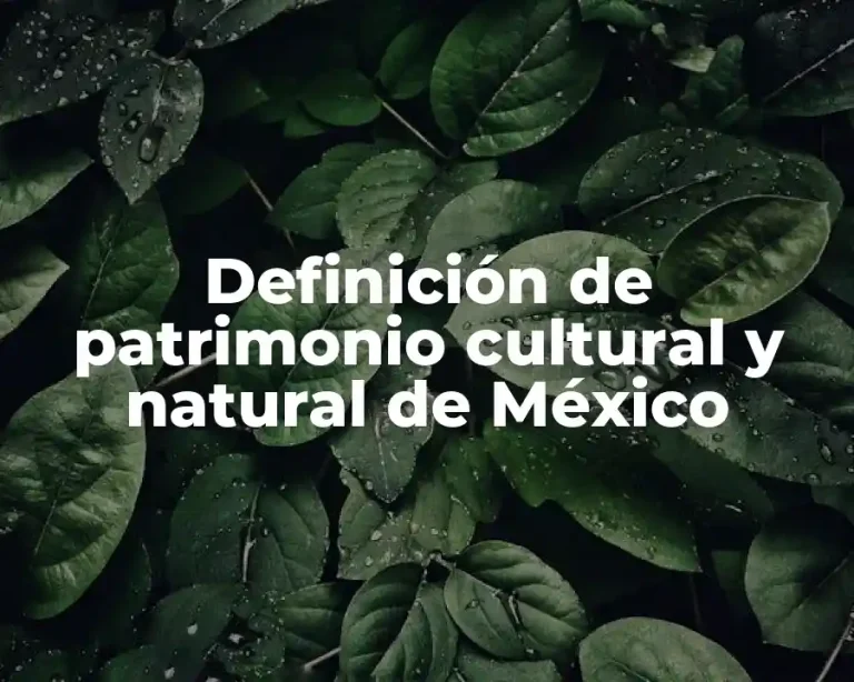 Definición de patrimonio cultural y natural de México
