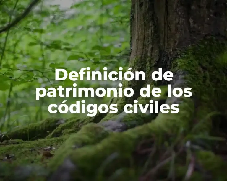 Definición de patrimonio de los códigos civiles