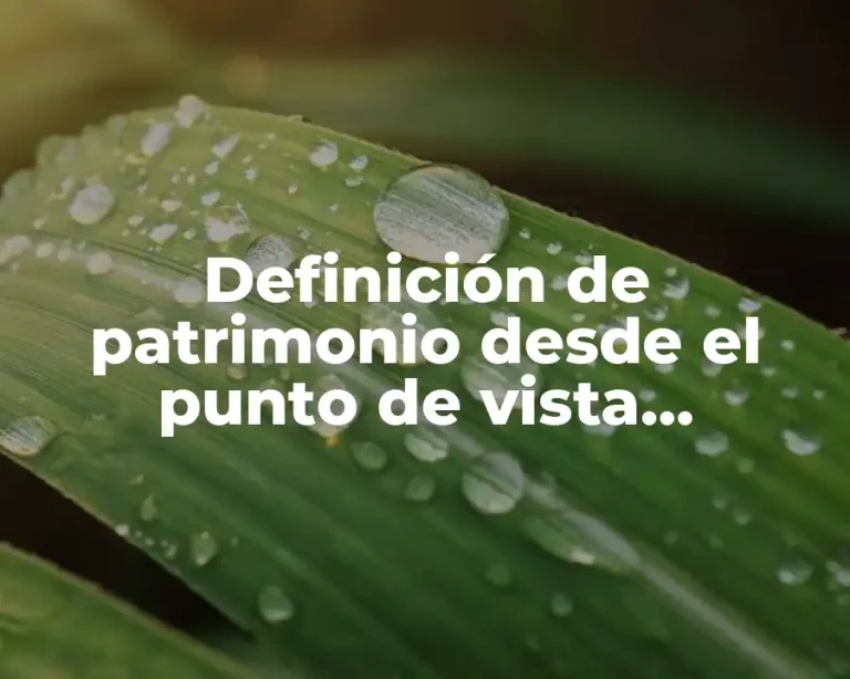 Definición de patrimonio desde el punto de vista empresarial