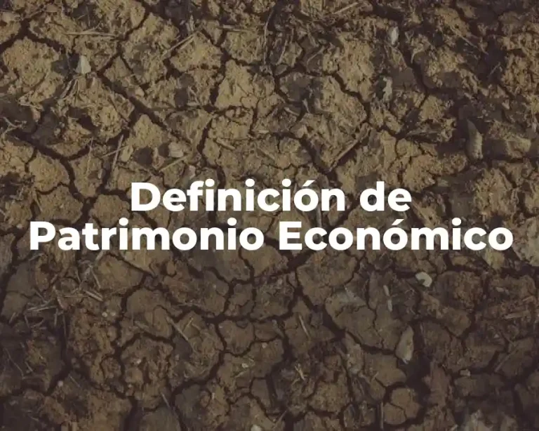 Definición de Patrimonio Económico