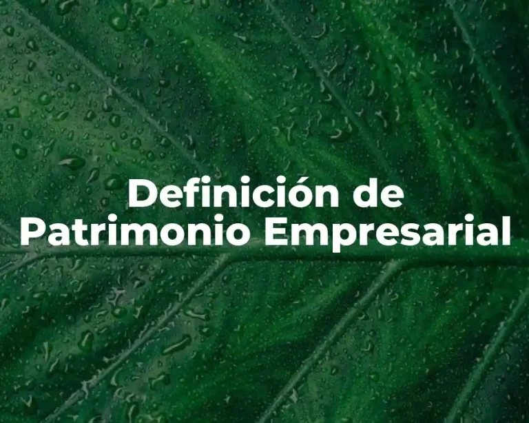 Definición de Patrimonio Empresarial