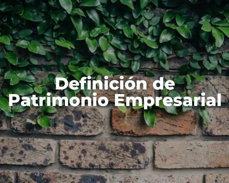 Definición de Patrimonio Empresarial