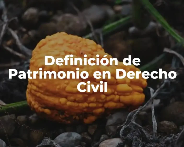 Definición de Patrimonio en Derecho Civil