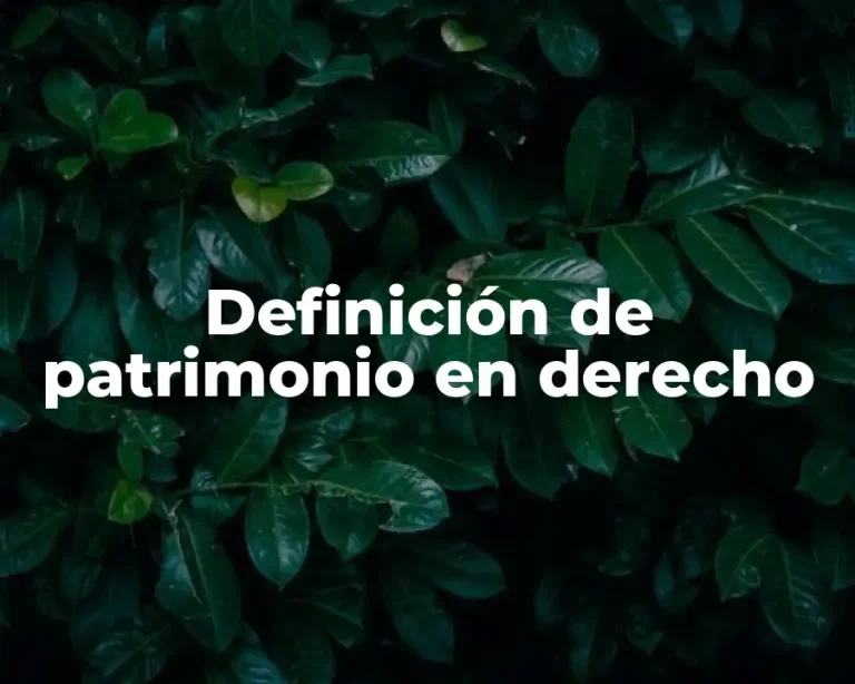 Definición de patrimonio en derecho