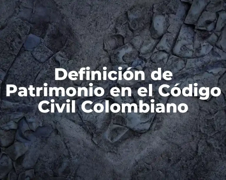 Definición de Patrimonio en el Código Civil Colombiano