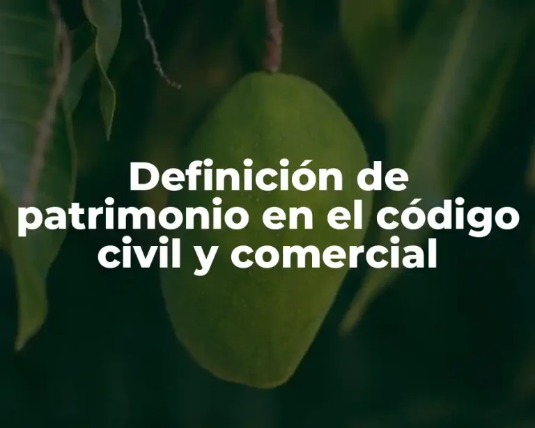 Definición de patrimonio en el código civil y comercial