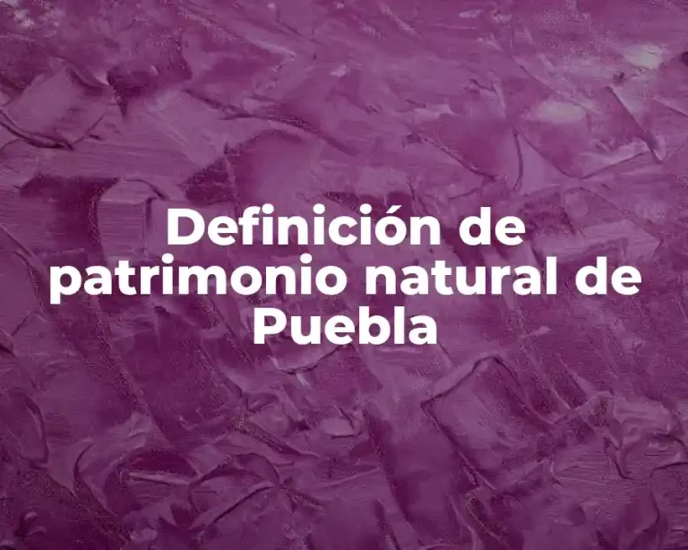 Definición de patrimonio natural de Puebla