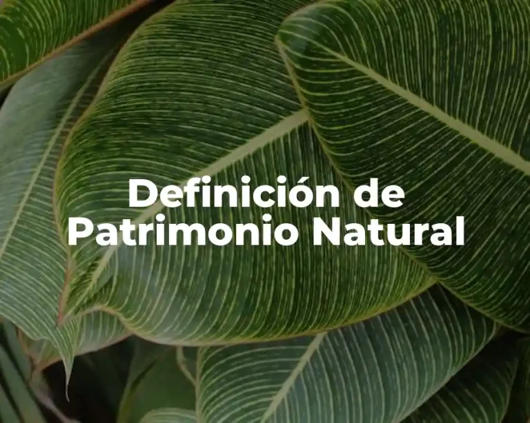 Definición de Patrimonio Natural