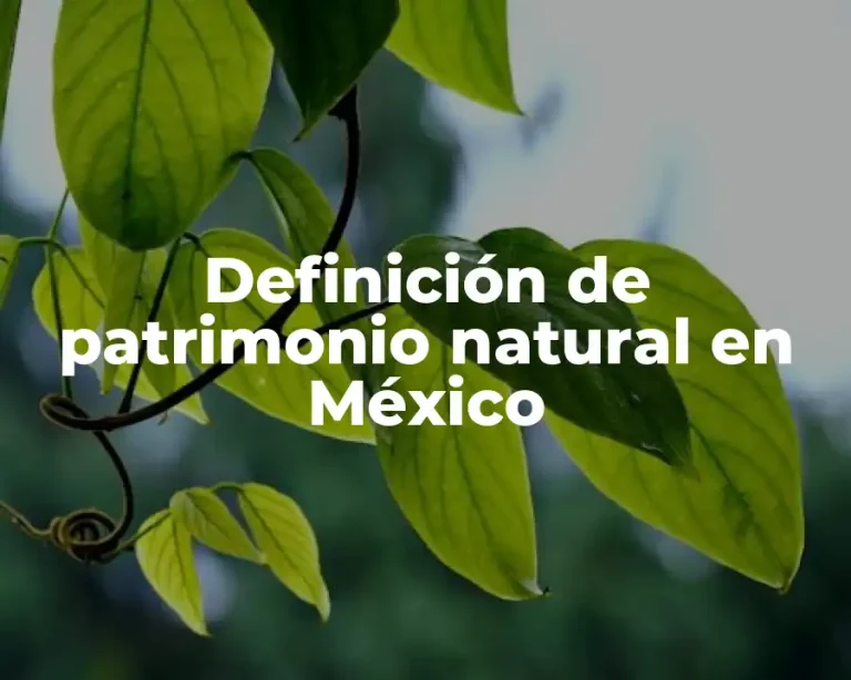 Definición de patrimonio natural en México