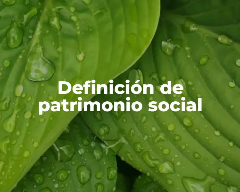 Definición de patrimonio social