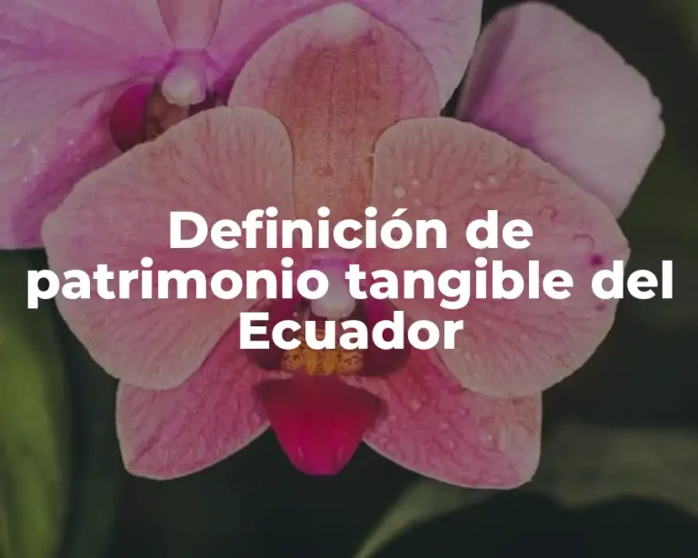 Definición de patrimonio tangible del Ecuador
