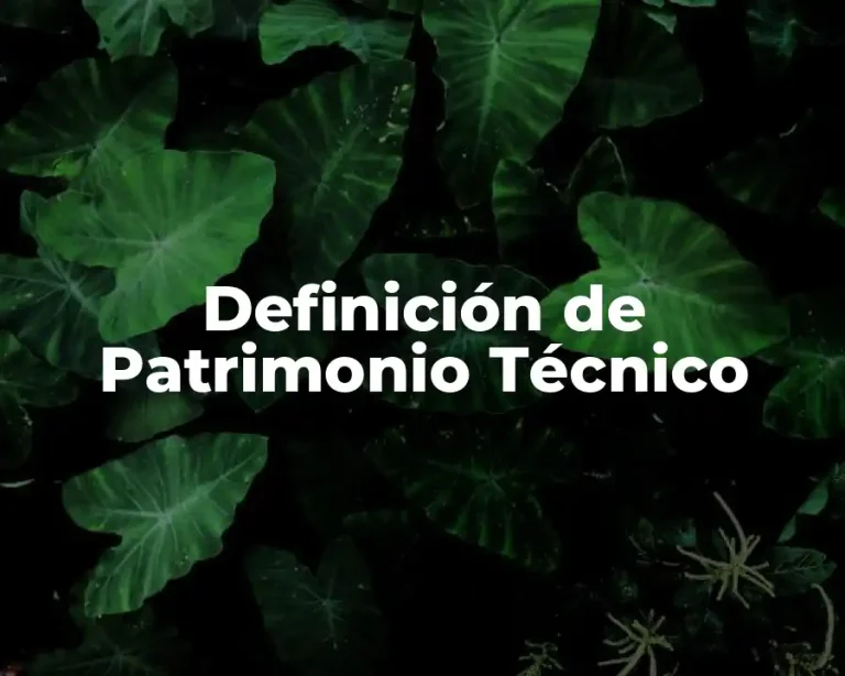 Definición de Patrimonio Técnico