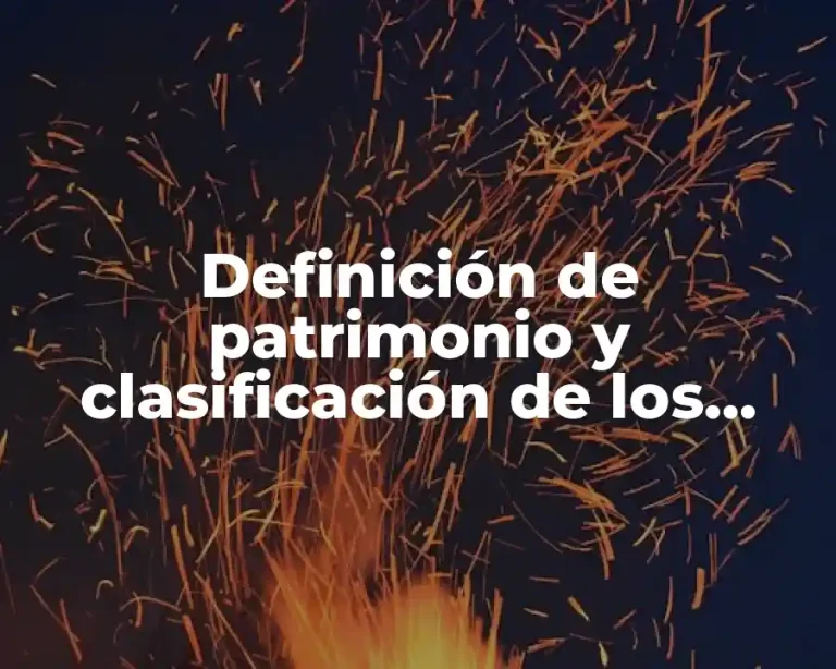 Definición de patrimonio y clasificación de los bienes