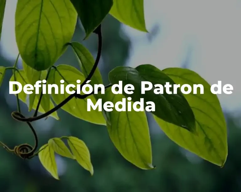 Definición de Patron de Medida
