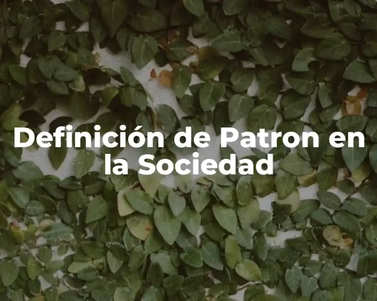Definición de Patron en la Sociedad