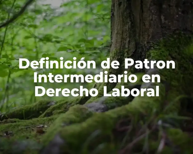 Definición de Patron Intermediario en Derecho Laboral