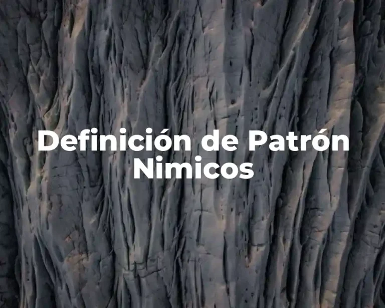 Definición de Patrón Nimicos
