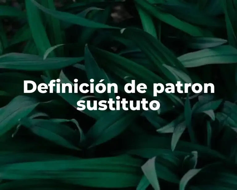 Definición de patron sustituto