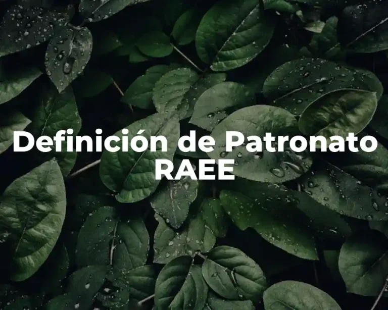 Definición de Patronato RAEE
